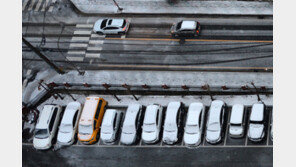 경북 울진 20.6㎝ 눈…동해안 곳곳에 대설특보