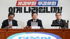 민주, ‘尹 당무 개입’ 논란에 “명백한 위법·망한 전대”