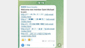 中해커 ‘샤오치잉’ 국내 서버 5곳 추가 공격…KISA “해킹 경로 확인중”