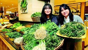 롯데백화점 “봄나물 30% 싸게 맛보세요” 