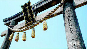 “멸망뒤 백제왕씨 여성들, 日 건너가 일왕 아이 낳기도” 