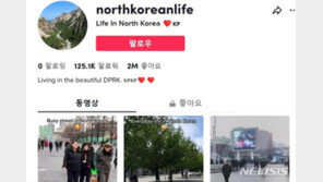 유튜브 이어 ‘틱톡’에도 북한 일상 공유 계정 등장