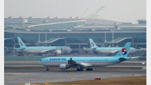 “뉴욕 가려 모았던 마일리지 X값 된다”…대한항공에 무슨 일