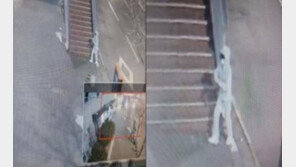 “잠 재워줄게” 춘천 초등생 SNS로 유인…50대男 영장 방침