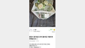 “난방비 800만원에서 1400만원” 화훼농가 한숨만…졸업식 대목도 실종