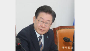 檢 “이재명 증거인멸 시도는 삼척동자도 알정도로 명백”…‘아시타비’ 표현 쓰며 비판