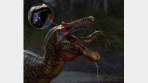 “물고기가 좋아서”… 잔인한 포식자로 태어났지만 ‘생선잡이’로 진화