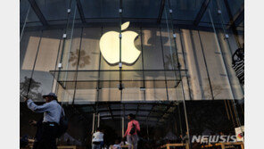 아이폰도 따라 접나…삼성 vs 애플 폴더블 전쟁 ‘초읽기’