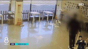 대형견 내동댕이, 소형견들 발로 퍽퍽…청주 애견카페 상습 학대