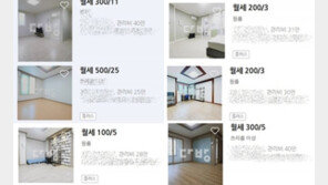 월세 3만원, 관리비는 31만원…배보다 배꼽 임대 기승