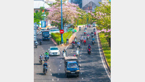 다낭서 한국 관광객에 ‘택시비 10배’ 바가지 씌웠다가…