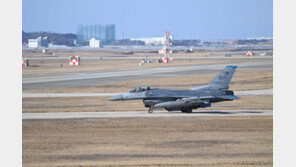 美 알래스카 영공 인근에 러 전투기 또 등장