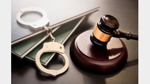 춘천 실종 초등생 유인한 50대 구속…法 “도주 우려”