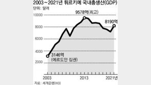 ‘종신 집권’ 꿈꾸는 에르도안, 대지진 책임론에 대선가도 흔들[글로벌 포커스]