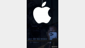 지각변동? 찻잔 속 태풍?…애플페이, 韓 시장 영향력은