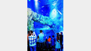 단양 다누리센터, 충북지역 경제 활기에 한몫