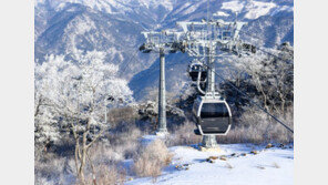 정선 가리왕산 케이블카 멈춰 95명 1시간 고립