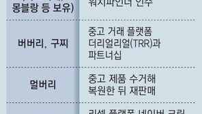 정품인증-리셀 방지… 명품업계, 중고거래 직접 챙겨 