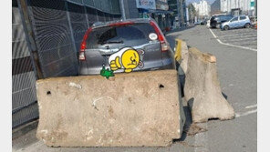 “대통령 와도 못 빼!”…차량 주변에 콘크리트 벽까지 세운 땅 주인 [e글e글]
