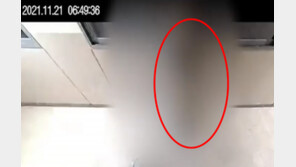 아파트 복도서 속옷 내리고 새벽 배송한 30대, 결국…