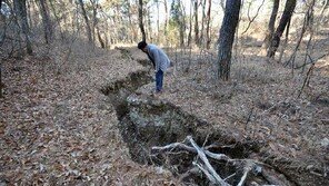 경주 야산 땅이 쩍!…200m ‘갈라짐’ 현상에 주민 불안 