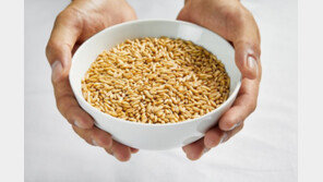 ‘○○’ 껍질 먹었더니…갱년기 증상 뚝↓