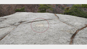 “스트레스 풀려고…” 산 정상석 뽑고 다닌 대학생의 최후