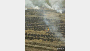 불법 소각 근절 캠페인 벌였더니 초미세먼지 농도 41% 줄었다 