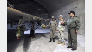 “IAEA 사찰단, 이란서 농도 84% 고농축우라늄 발견” 