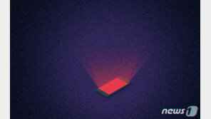 “흉기 사왔다” 유산상속 갈등 동생 스토킹·협박한 40대 언니, 실형