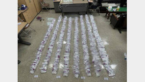 165만명분 필로폰 밀수 조직 검거…화물 운반대에 은닉