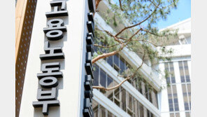 “국정참여·일경험을 동시에”…고용부, 올해 청년인턴 96명 선발