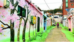 담장 속 봄길 산책