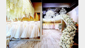 감각적이고 고급스러운 웨딩드레스로 여성 고객 호응