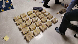 경찰, ‘리딩방’으로 4대 거래소 상장 코인 시세조종한 일당 검거