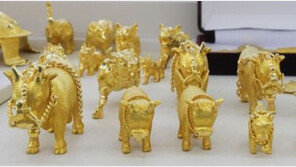 당근마켓 금송아지 들고 튄 절도범…시민들이 잡았다