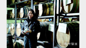 “저숙성 술맛 독특”… 오픈런 부른 한국산 위스키 