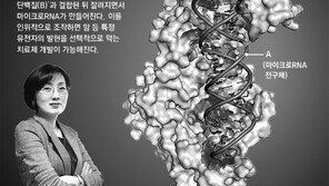 암-치매 등 질병유전자 발현 억제… ‘경찰 RNA’ 생성원리 찾았다 