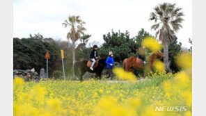 [날씨]‘낮 6~13도’ 맑고 포근…중서부 미세먼지 ‘나쁨’