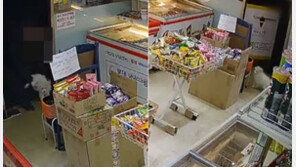 무인점포에 강아지 슬쩍 두고간 남성…동물보호단체 고발