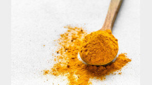 밭에서 나는 황금 ‘○○’, 간 수치·독성 낮췄다 