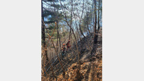 삼척 주택서 난 불 야산으로 번져…1시간 30여분만에 진화