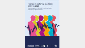 “‘2분에 1명’ 꼴 아이 낳다가 숨진다…연간 28만명” 유엔
