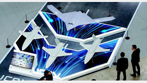 ‘드론쇼 코리아’ 찾은 관람객 