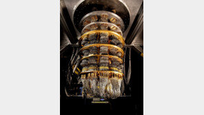 양자컴 난제 풀었다… 정보량 늘리고도 오류율은 낮춰