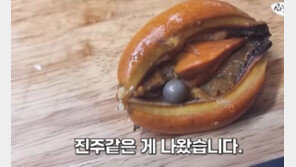 홍합먹다 ‘흑진주’ 발견한 칼럼니스트, 감정엔 실패…왜?