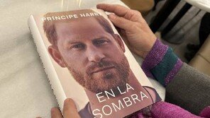 英국방장관 “해리왕자, 탈레반 25명 사살 떠벌렸다” 비판