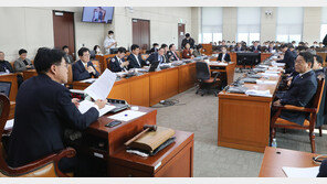 ‘국고보조 대상에 소상공인 포함’ 이태원 참사 대책, 행안위 통과