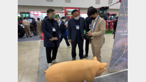 [농업이 IT(잇)다] 일루베이션 “3D 돼지 무게 측정, 축산가에 새 가치”