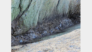 북한산 산불, ‘담배’ 때문이었다…“신고 포상금 최대 300만원”